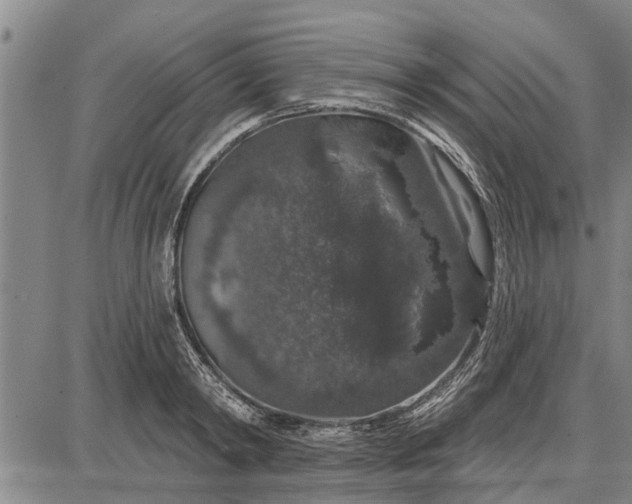 X0000087680798200705181728