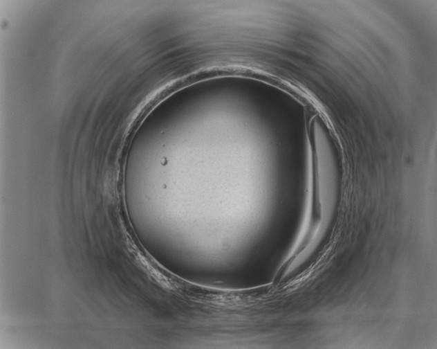 X0000087680799200705181728