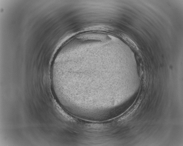 X0000087680800200705181728