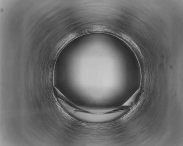 X0000087680801200705181728