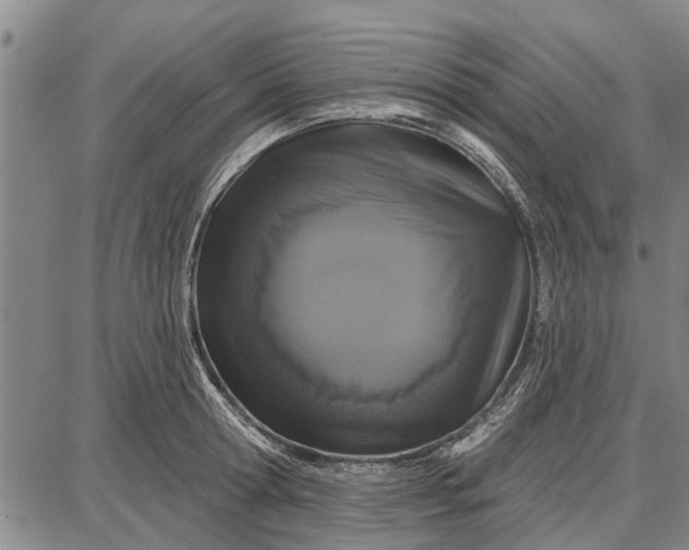 X0000087680802200705181728