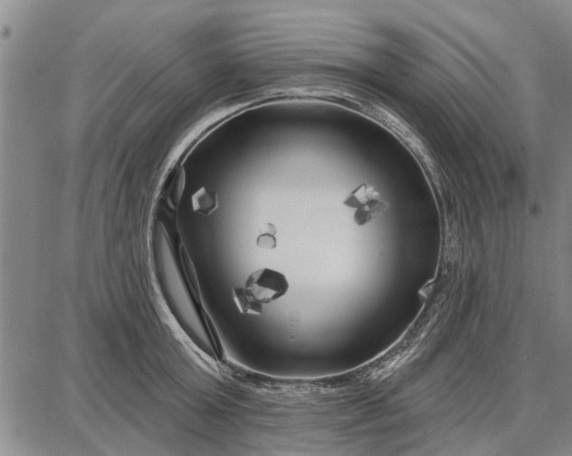 X0000087680803200705181728