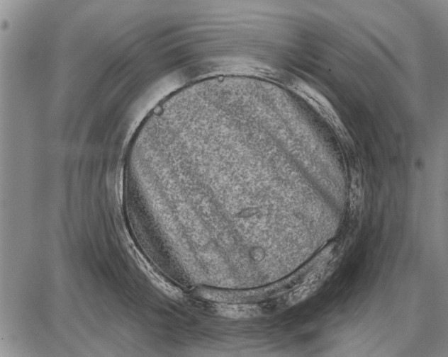 X0000087680804200705181728