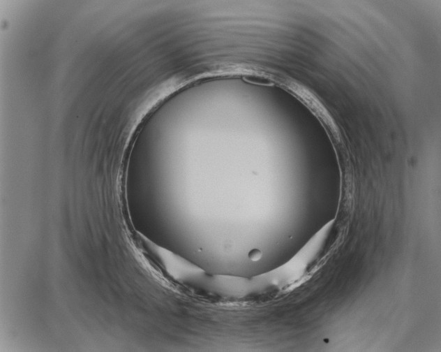 X0000087680805200705181728