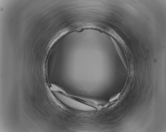 X0000087680806200705181728