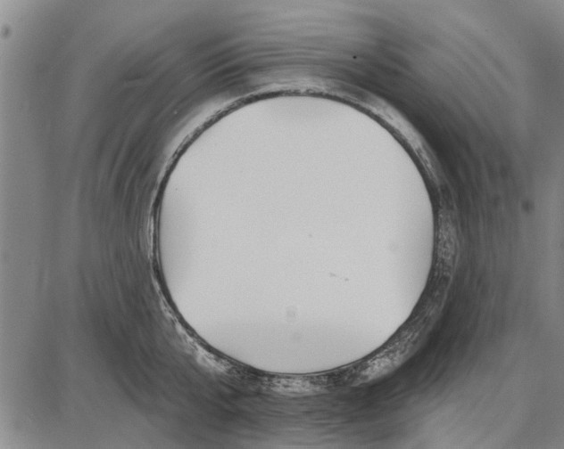 X0000087680807200705181728