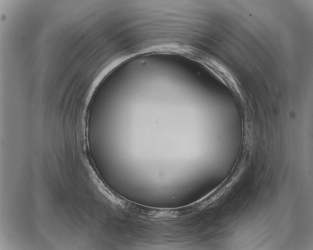 X0000087680808200705181728