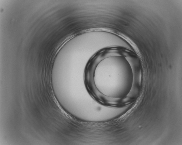 X0000087680809200705181728