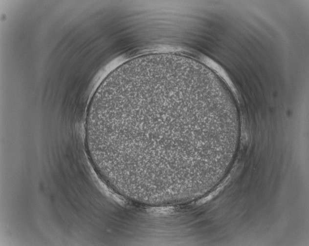 X0000087680810200705181728