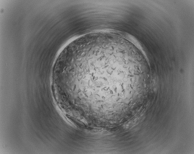 X0000087680811200705181728