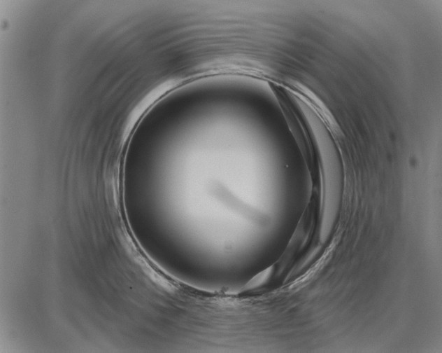 X0000087680812200705181728