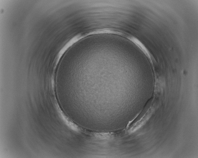 X0000087680813200705181728