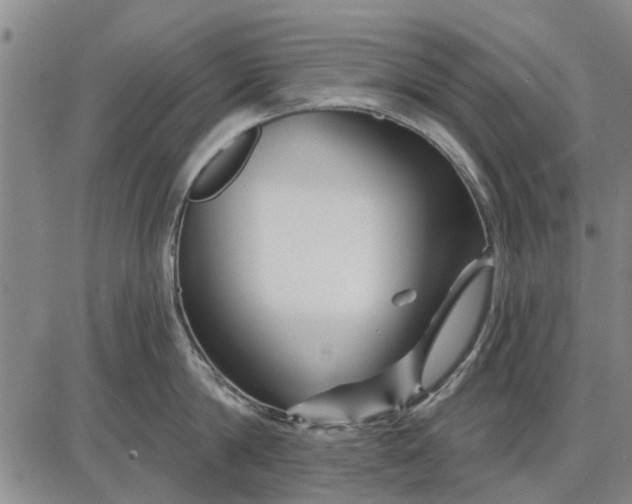 X0000087680814200705181728