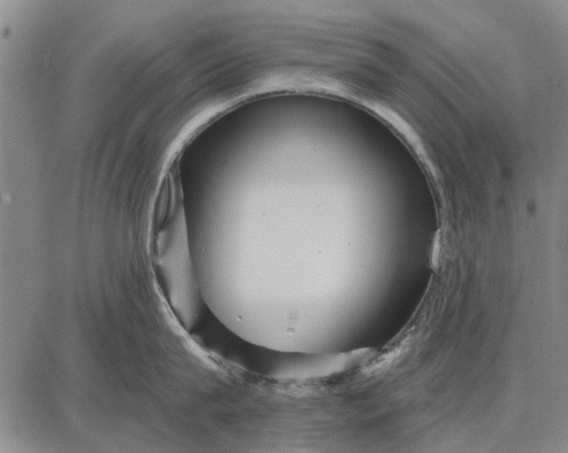 X0000087680815200705181728