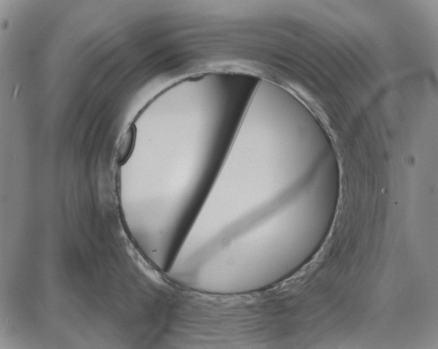 X0000087680816200705181728