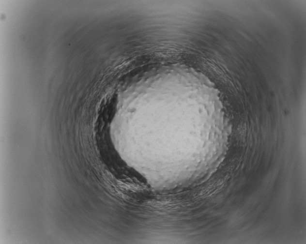 X0000087680817200705181727