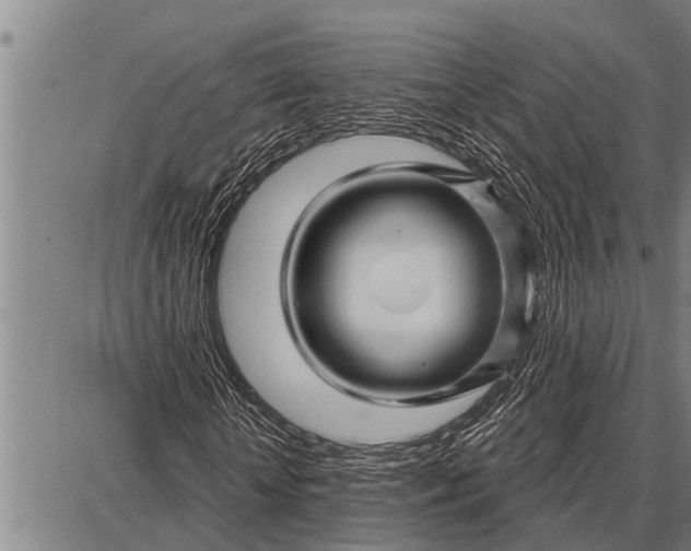 X0000087680818200705181727