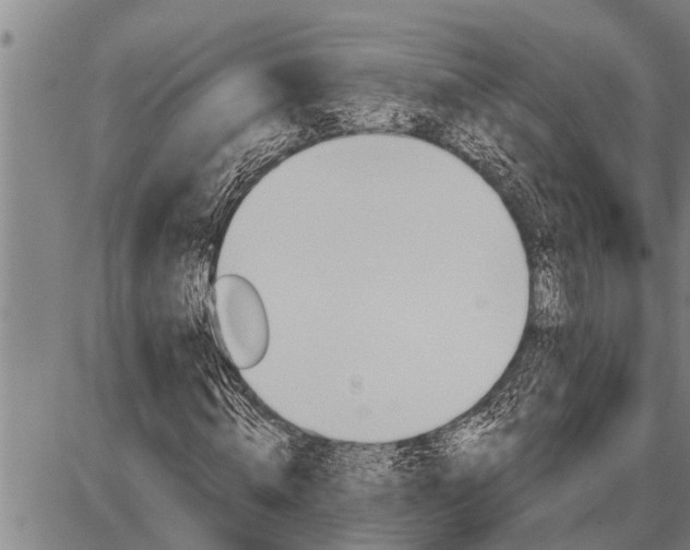 X0000087680820200705181727