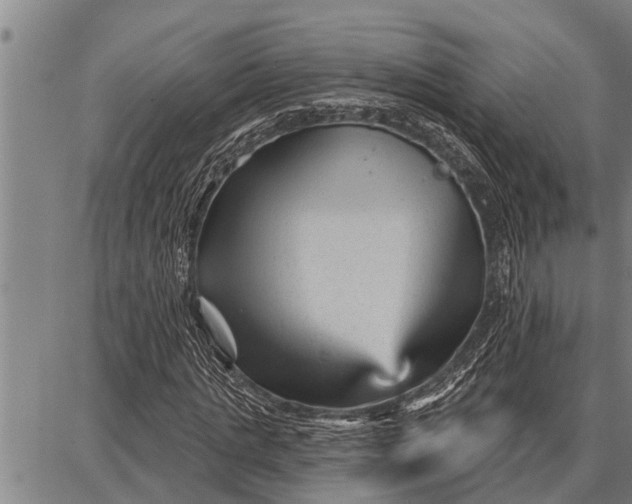 X0000087680821200705181727