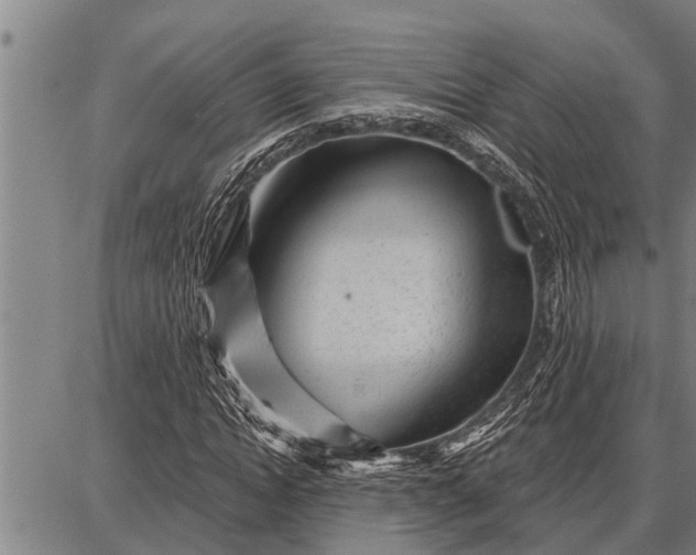 X0000087680822200705181727