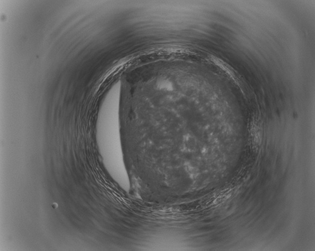 X0000087680823200705181727