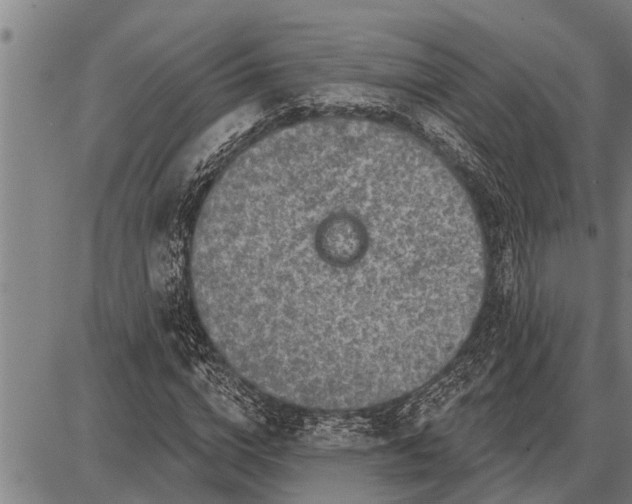 X0000087680824200705181727