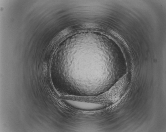 X0000087680825200705181727