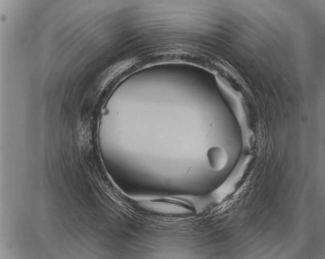 X0000087680826200705181727