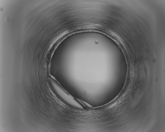 X0000087680827200705181727