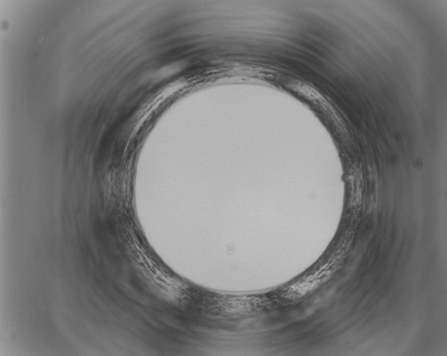 X0000087680828200705181727