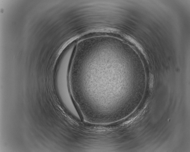 X0000087680829200705181727