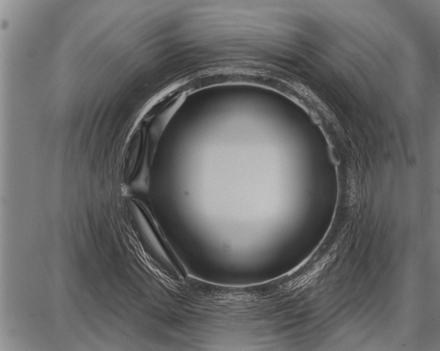 X0000087680830200705181727