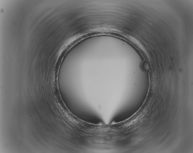 X0000087680831200705181727