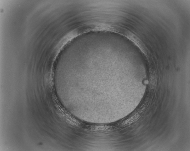 X0000087680832200705181727