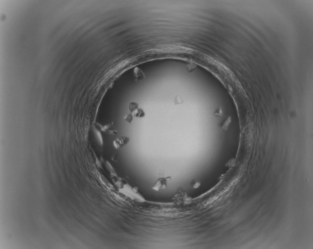 X0000087680833200705181727