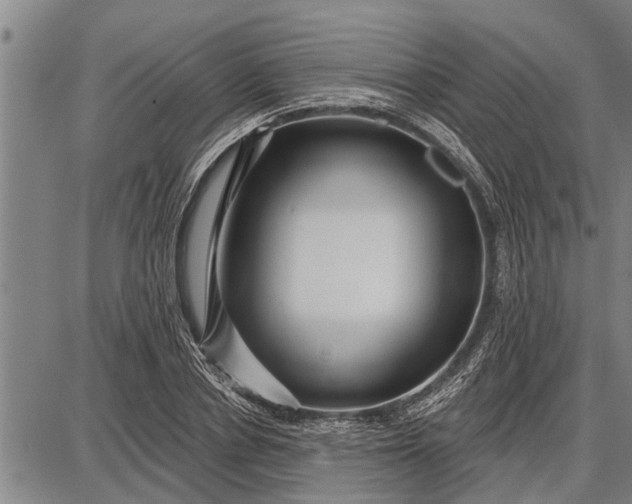 X0000087680834200705181727