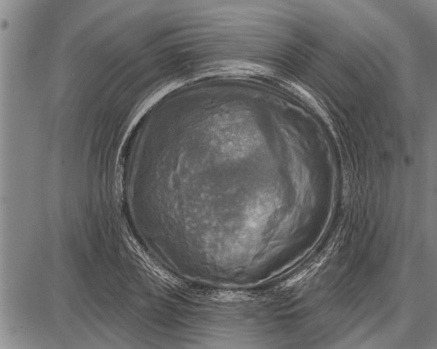 X0000087680835200705181727