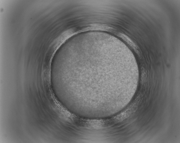 X0000087680836200705181727