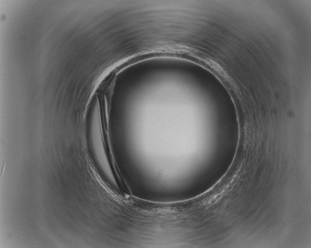 X0000087680838200705181727