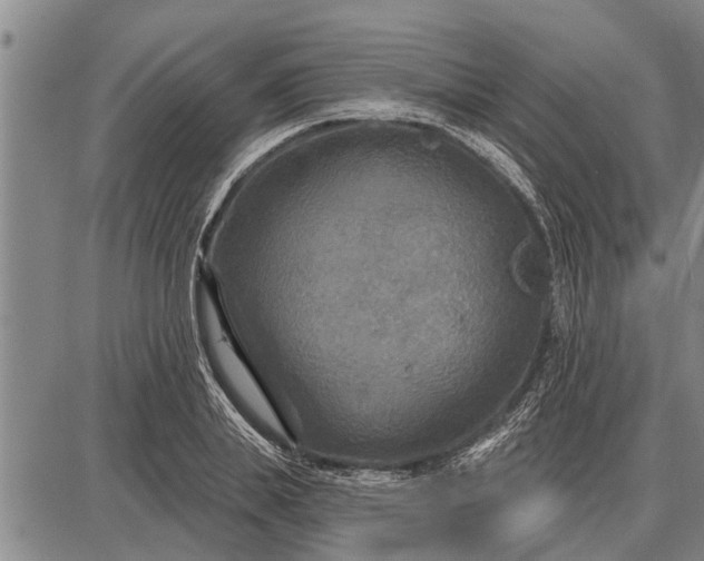 X0000087680839200705181727