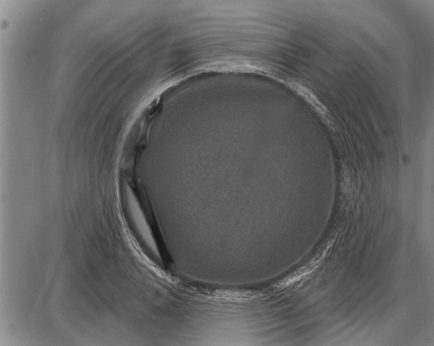 X0000087680840200705181727