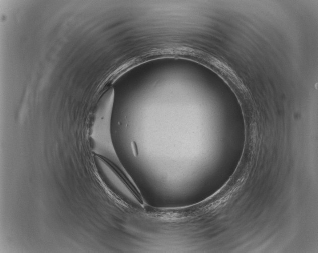 X0000087680841200705181727