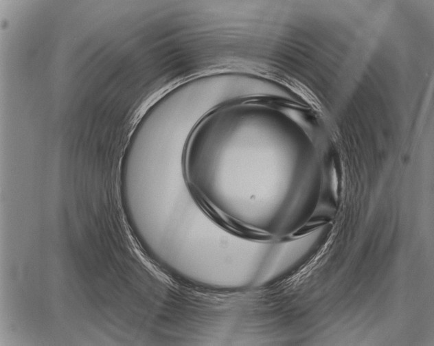 X0000087680842200705181728