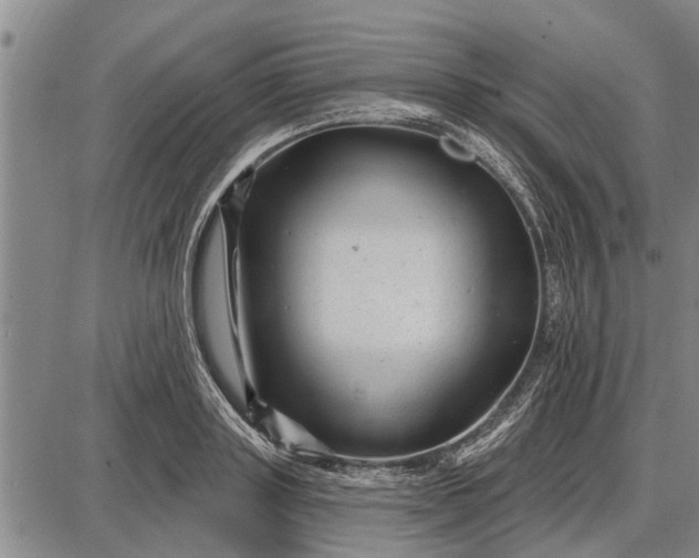 X0000087680843200705181728