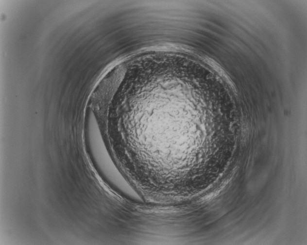 X0000087680845200705181728