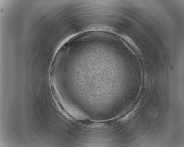 X0000087680846200705181728