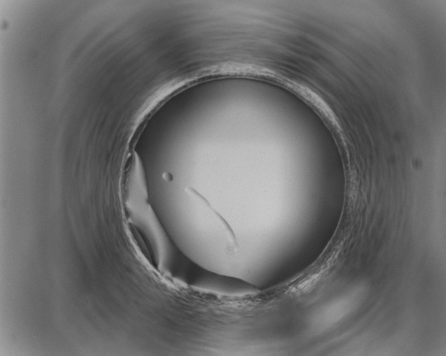 X0000087680847200705181728