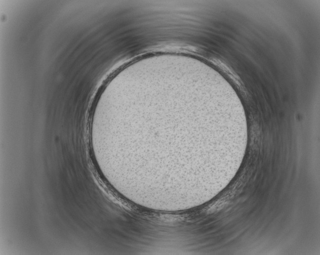 X0000087680848200705181728