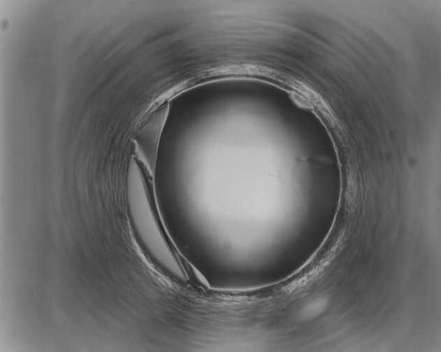 X0000087680849200705181728