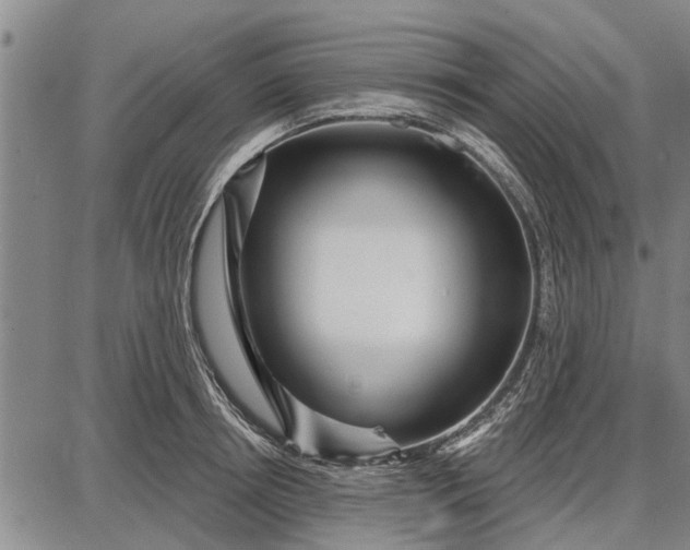 X0000087680850200705181728